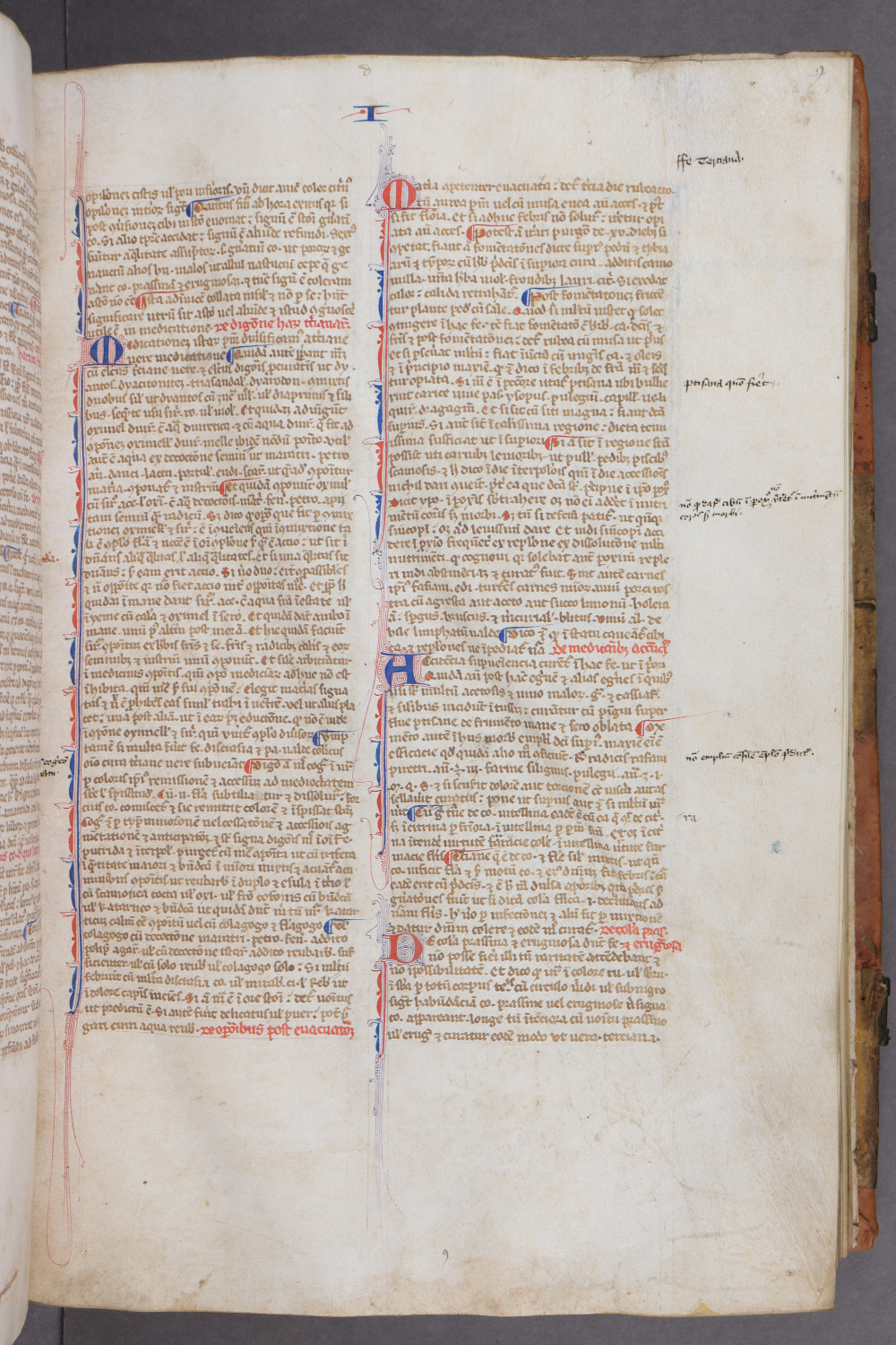 Folio 8 recto